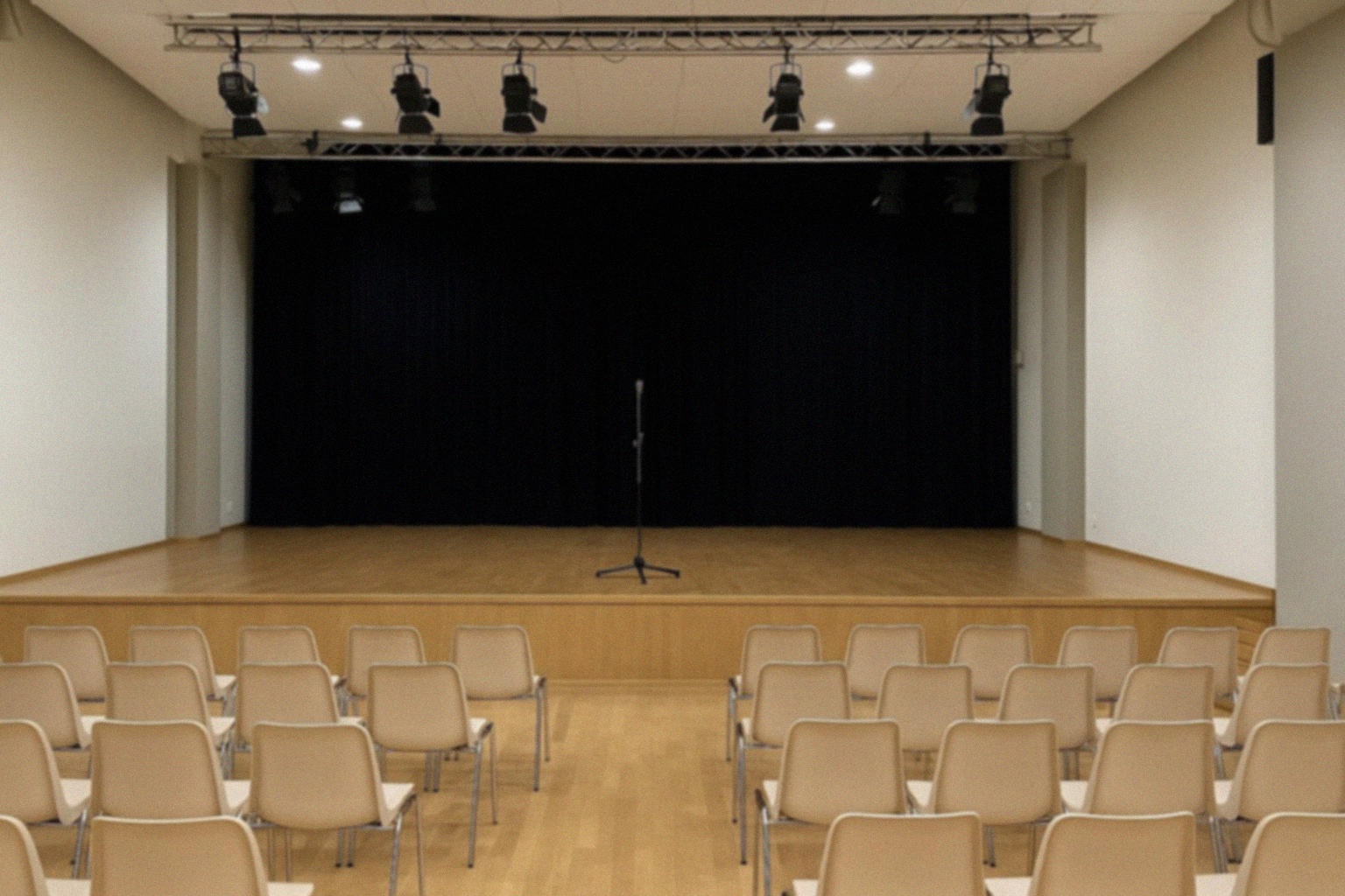 Koncert Anity Lipnickiej w Żagańskim Pałacu Kultury