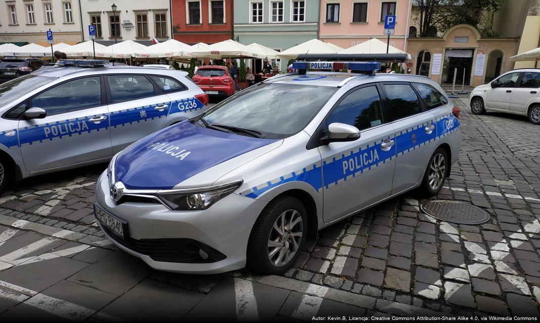 22-latek zatrzymany za kradzież tablic rejestracyjnych i znieważenie policjantów