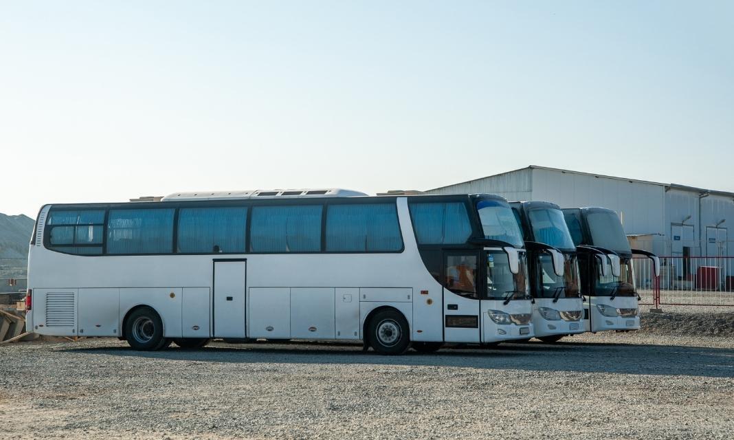 Wypożyczalnia Busów Żagań